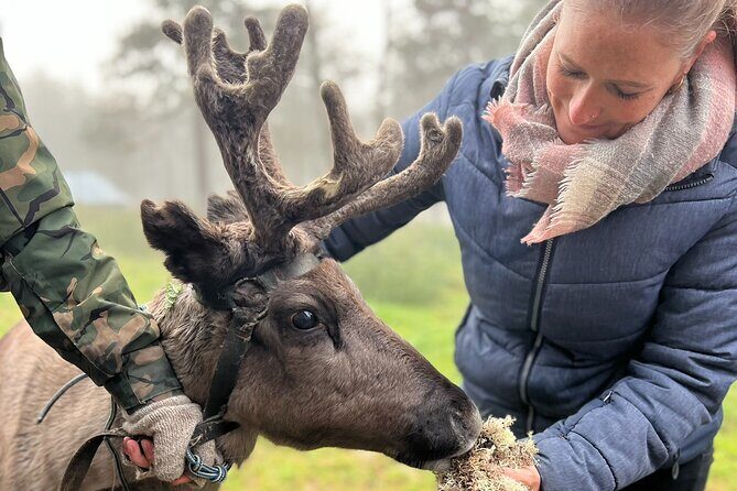 Small Group Fishing, Lunch& Reindeer Farm Visit in the Wilderness - Who Is This Tour Best For?