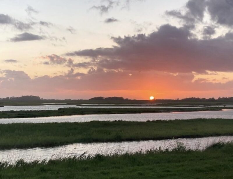 Small group full day island tour to Texel from Amsterdam - Key Points