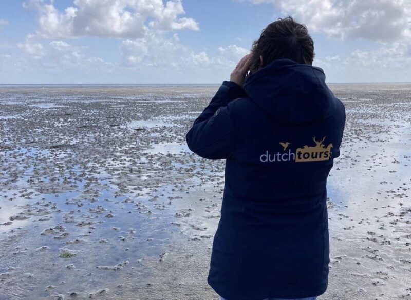 Small group full day island tour to Texel from Amsterdam - Who Will Love This Tour?