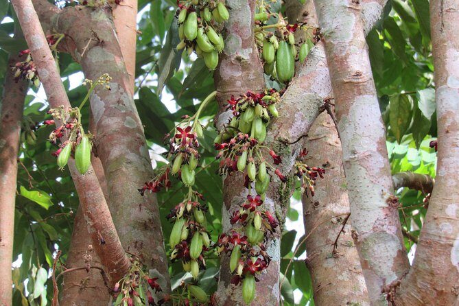 Small-Group Full-Day Khao Sok Nature Tour From Khao Lak - Final Thoughts