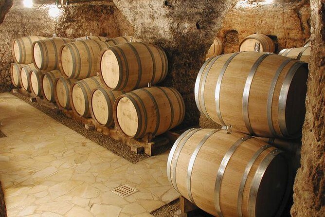Small-Group Full-Day Private Wine Tour from Avignon - Key Points