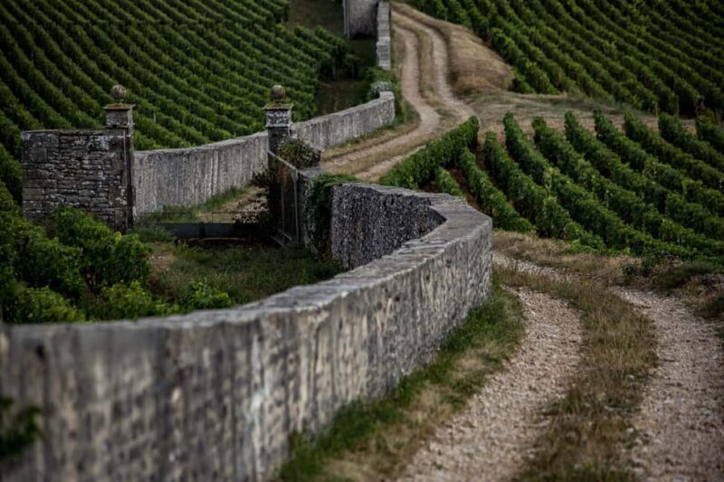 Small group full day tour in the Burgundy vineyards - An In-Depth Look at the Burgundy Vineyard Tour