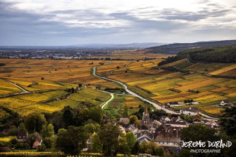 Small group full day tour in the Burgundy vineyards - Practical Details and Value