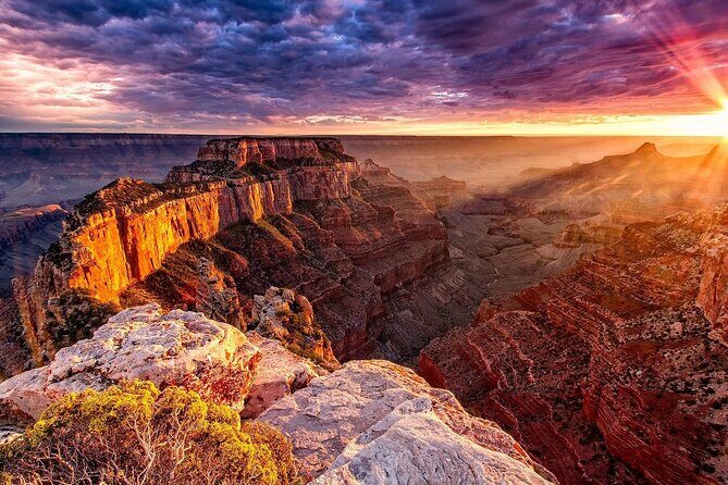 Small Group Grand Canyon, Hoover Dam and Joshua Tree Forest Tour - Key Points