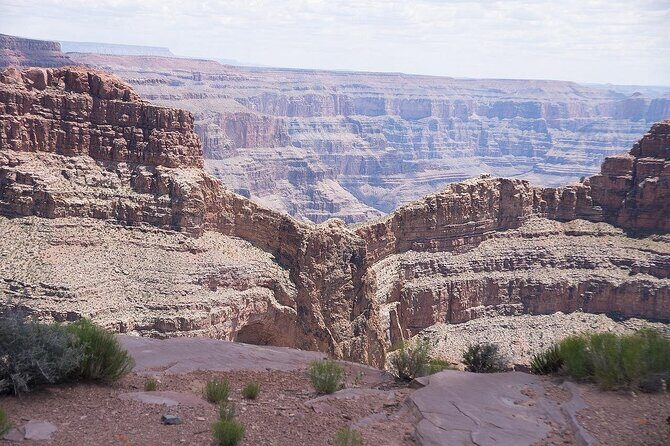 Small Group Grand Canyon, Hoover Dam and Joshua Tree Forest Tour - The Experience: What Travelers Can Expect