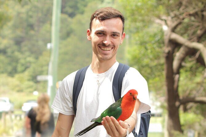 Small-Group Great Ocean Road Classic Day Tour from Melbourne - Key Points