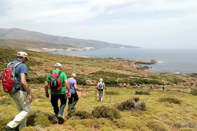 Small-Group Guided Hiking Tour in Andros with picnic on the beach - The Highlight: Lefka Beach and the Picnic