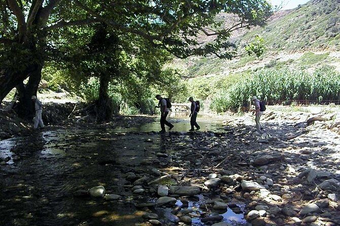 Small-Group Guided Hiking Tour in Andros with picnic on the beach - FAQ