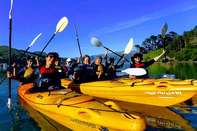 Small group guided sea kayaking in Akaroa marine reserve - An In-Depth Look at the Experience