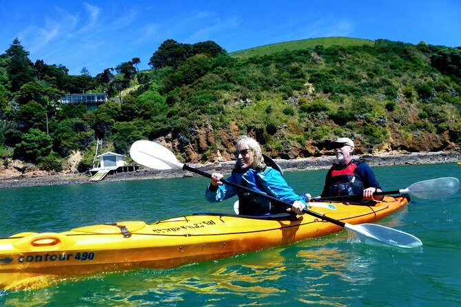 Small group guided sea kayaking in Akaroa marine reserve - Who Will Love This Tour?