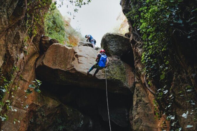 Small-Group Half-Day Canyoning in La Orotava - Pricing and Value