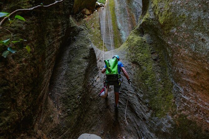 Small-Group Half-Day Canyoning in La Orotava - Who Will Love This Tour?