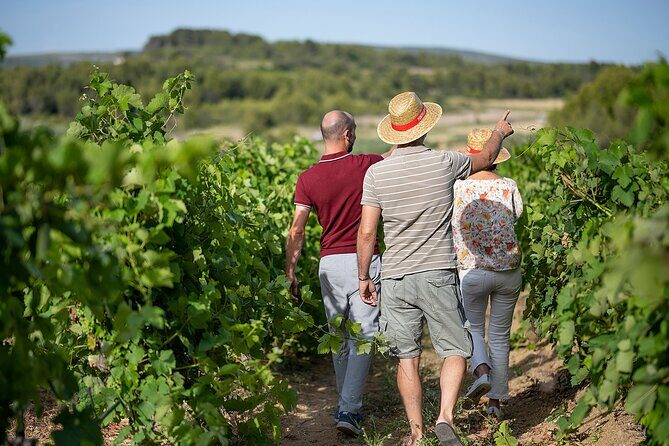 Small-Group Half-Day Châteaux of Montpellier Wine Tour - The Experience in Detail