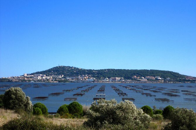 Small-Group Half-Day Languedoc Wine and Oyster Tour from Montpellier - The Sum Up