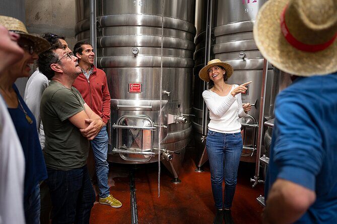 Small-Group Half-Day Languedoc Wine and Oyster Tour from Montpellier - FAQ