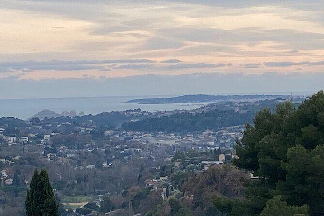 Small-Group Half-Day Tour to St-Paul-de-Vence, Antibes and Cannes from Nice - Who Should Book This Tour?