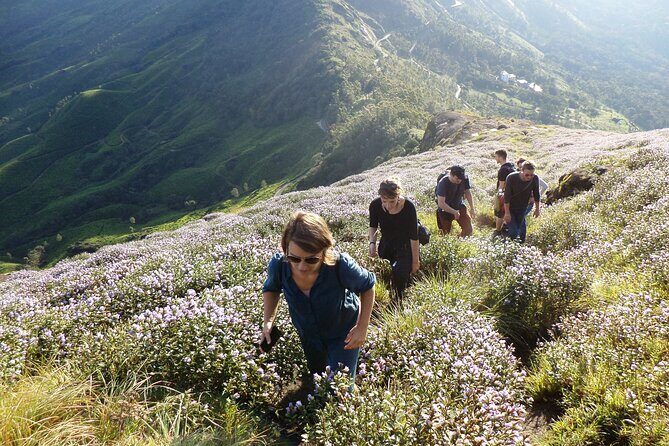 Small-Group Half Day Trekking in Munnar with Breakfast - Key Points