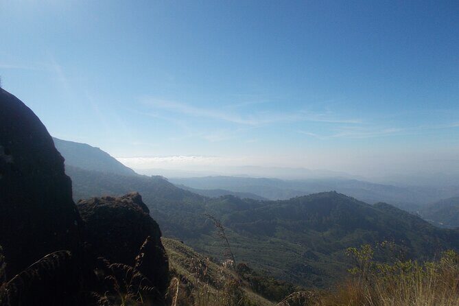 Small-Group Half Day Trekking in Munnar with Breakfast - The Sum Up