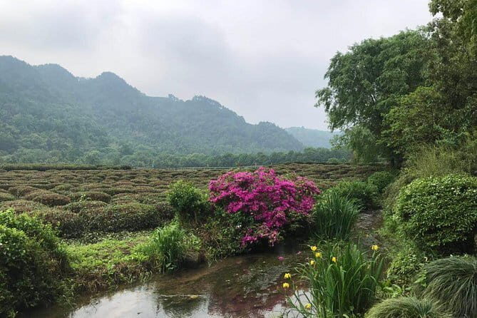 Small group: Hangzhou Full-day Classic Tour with Bullet Train from/to Shanghai - What’s Included and How It Works
