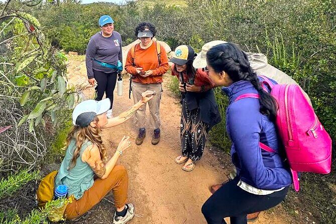 Small Group Hike Through San Diego's Heart and Soul - An In-Depth Look at the Small-Group Hike Experience