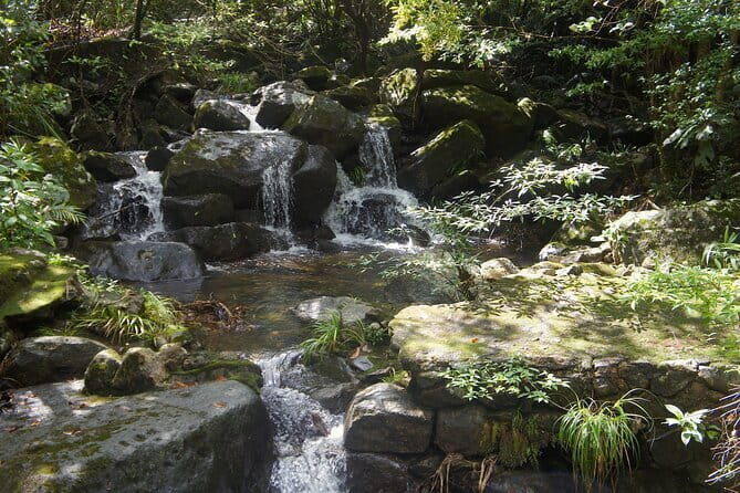 Small Group Hike to Ma On Shan Highland - A Closer Look at the Ma On Shan Highland Hike