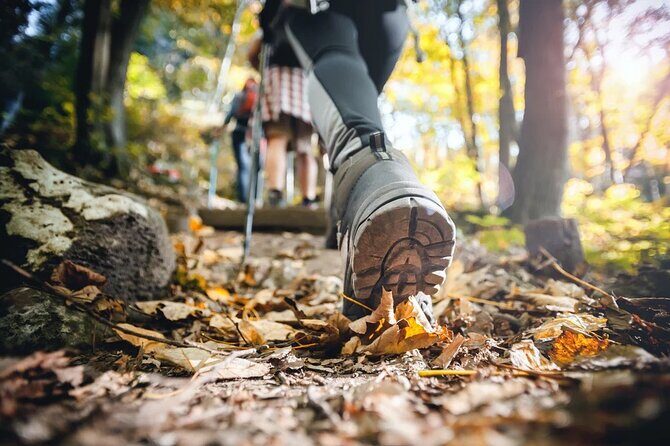 Small Group Hiking Around The Pinecrest Lake Trail - Who Should Consider This Tour?