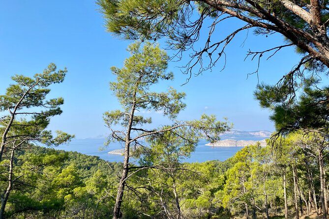 Small group hiking between the beach and Kritinia Castle - A Deep Dive into the Rhodes Kritinia Hike