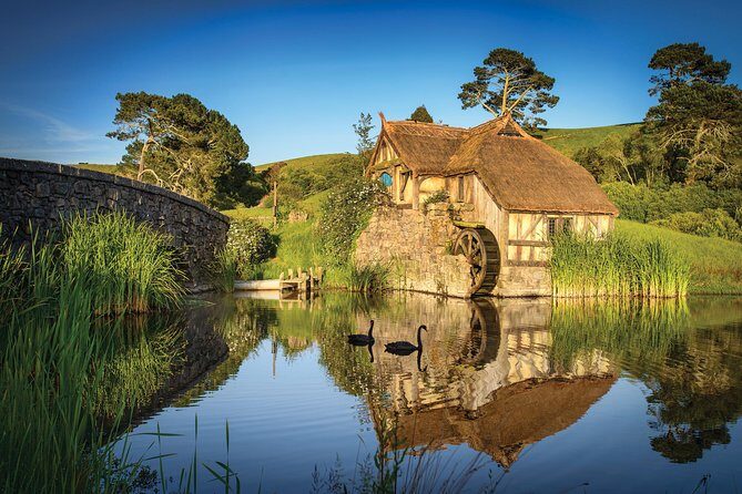 Small-Group Hobbiton Tour from Auckland with Party Marquee Lunch - The Logistics and Practicalities