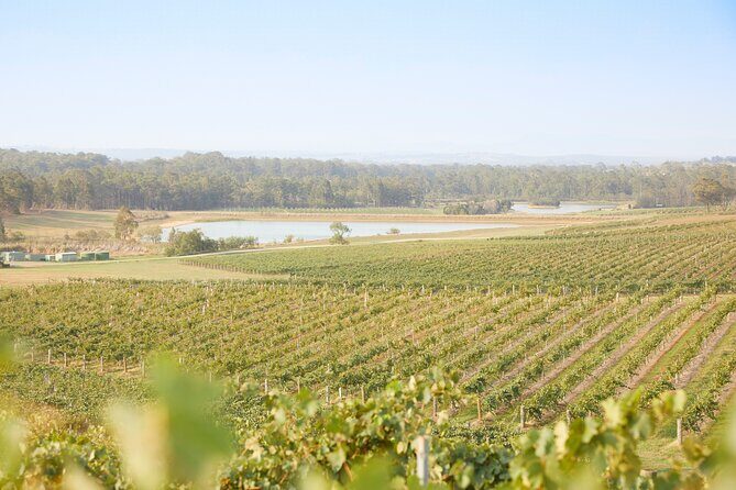 Small Group Hunter Valley Wine Tour w Lunch, Gin, Cheese & Choc - FAQ