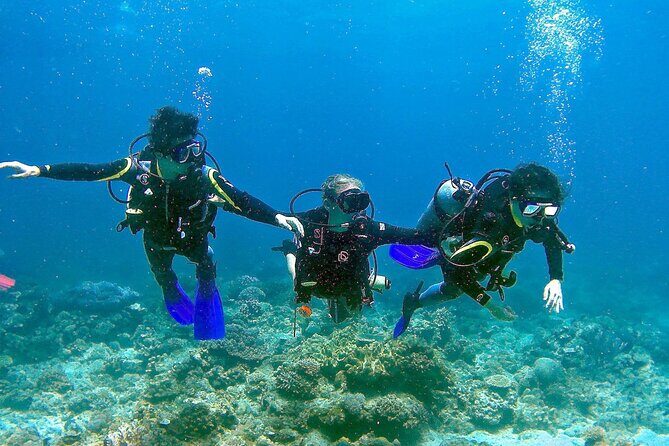 Small-Group Introductory Scuba Diving in Pula - What to Expect from This Introductory Scuba Tour in Pula