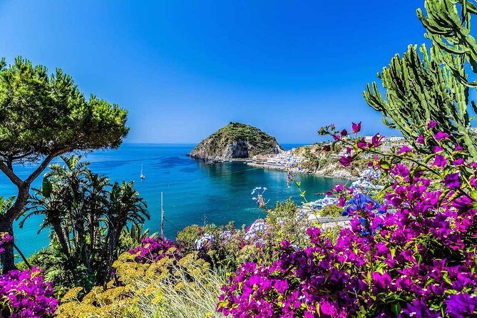 Small Group Ischia and Procida Boat Day Tour from Sorrento - Authentic Insights from Travelers