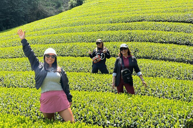 Small Group Japanese Green Tea Tasting in Shizuoka - Exploring the Shizuoka Green Tea Tour: A Closer Look