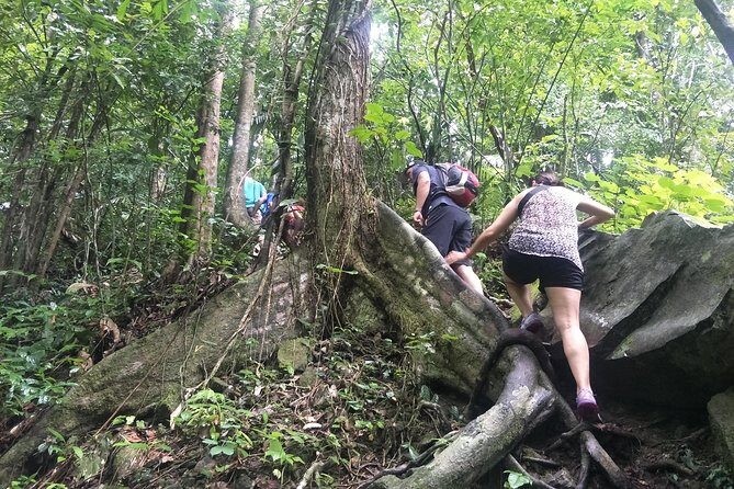 Small-Group Jungle Hiking Excursion in Khao Phra Teaw Park - Why This Tour Works Well
