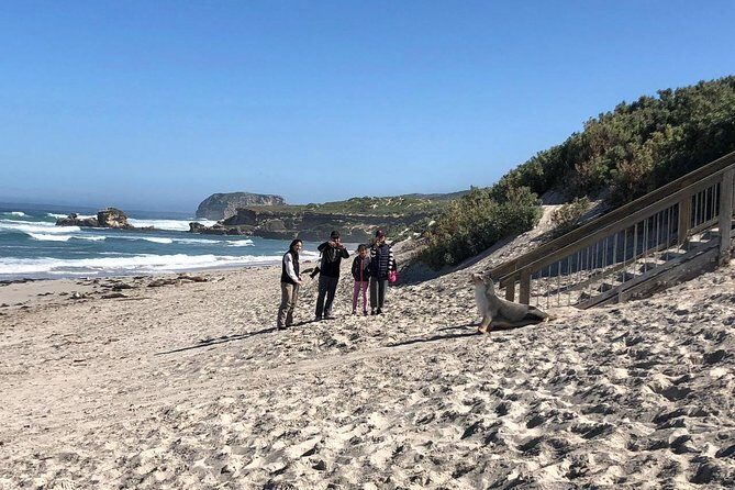 Small Group Kangaroo Island Tour - Seal Bay - Who It’s Best For