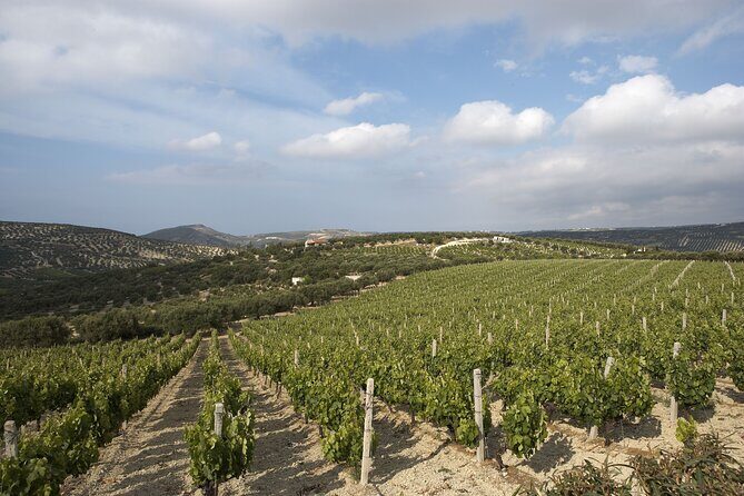 Small Group: Knossos, Olive Oil, Winery & raki with Lunch - Olive Oil: A Taste of Crete’s Ancient Traditions