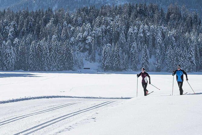 Small-Group Lapland Cross Country Ski - In-Depth Experience Review