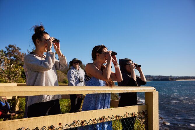 Small Group Manly Snorkel Tour and Nature Walk with Local Guide - Who Should Consider This Tour?