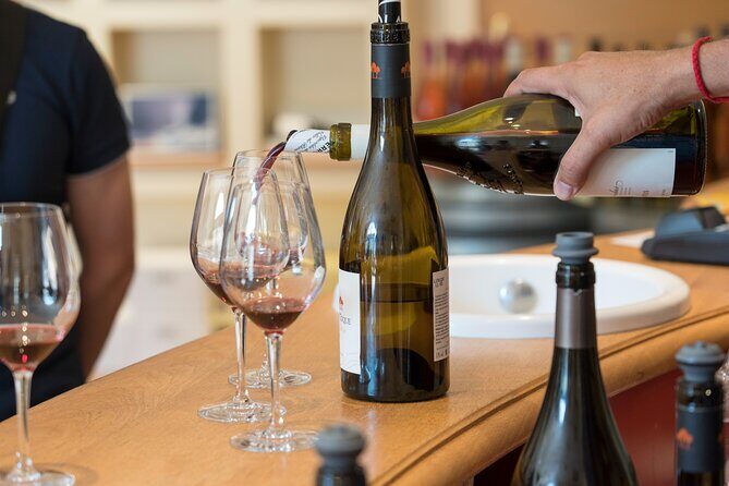 Small Group Marseille Shore Excursion : Avignon & Chateauneuf du Pape Wine Tour - Who Is This Tour Best For?