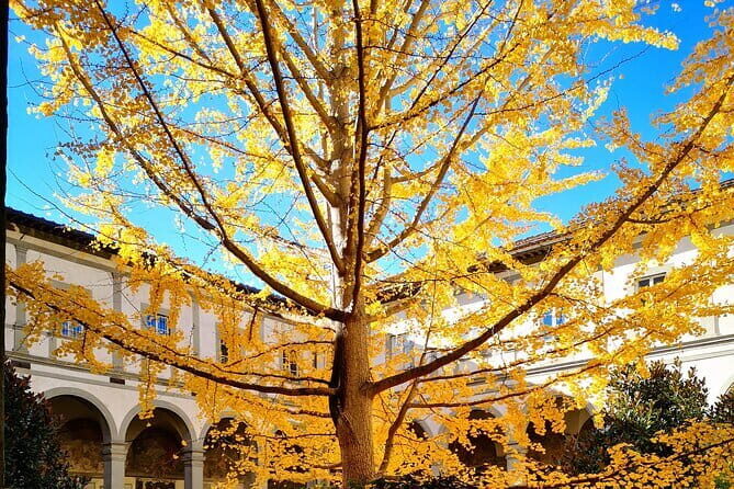 Small Group Medici and Michelangelo Tour in Florence - The Sum Up