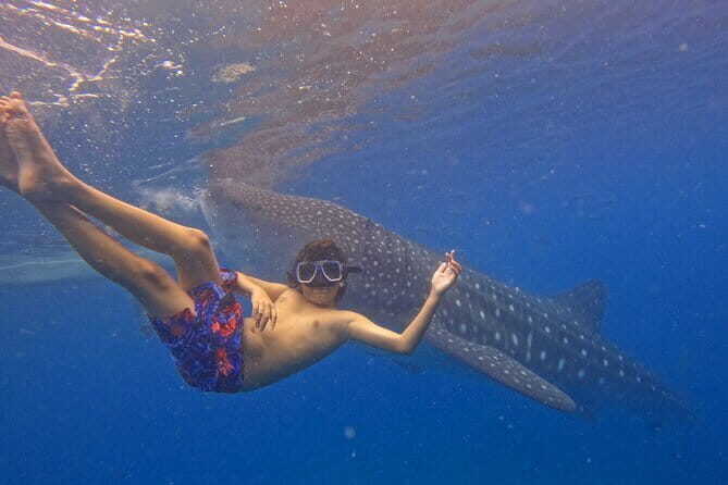 Small Group Moalboal and Badians Ultimate Adventure Tour - Who Is This Tour Best For?