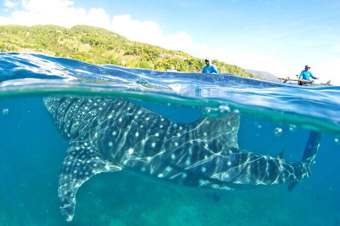 Small Group Moalboal and Badians Ultimate Adventure Tour - FAQs