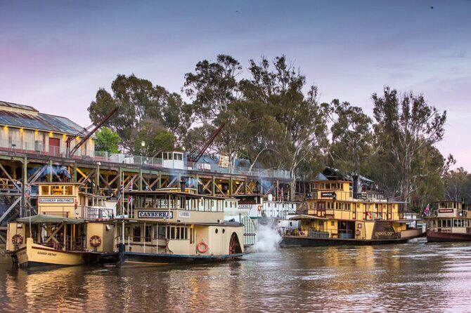 Small-Group Murray River Adventure - Paddle Steamer & Wildlife - A Detailed Look at the Itinerary and What You Can Expect