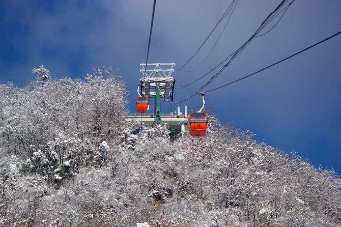 Small-Group Mutianyu Great Wall and Summer Palace Tour with Lunch - FAQ