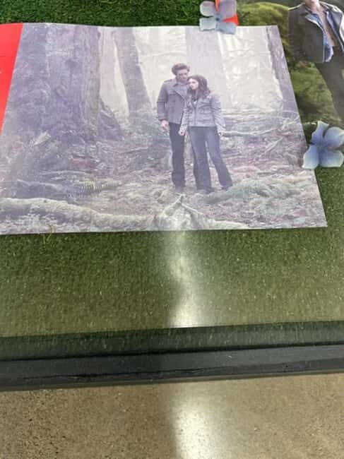 Small Group: Olympic Park & Forks Day Trip From Seattle - Real Experiences and Authentic Insights