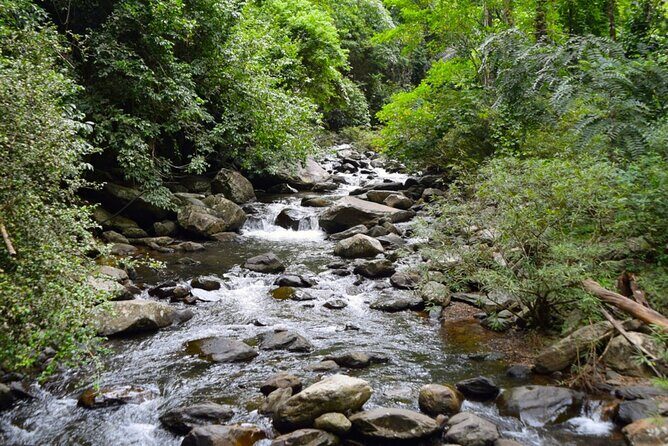 Small-Group Pala U Waterfall Jungle Tour from Hua Hin - FAQs