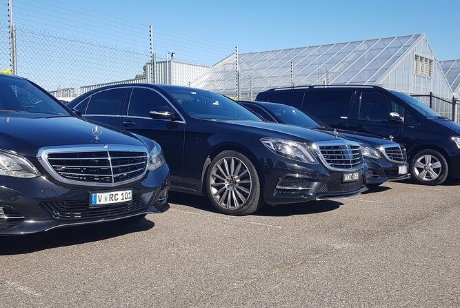 Small Group Personalised Private Tours Melbourne (up to 14 pax) - Who Should Consider This Tour?