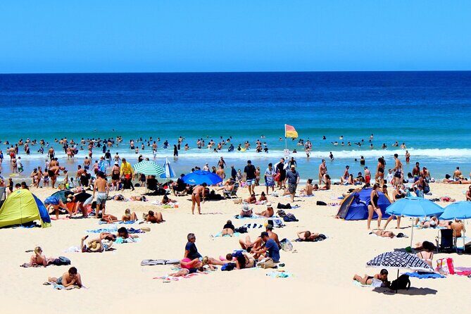 Small Group Personalised Private Tours Sydney - Customer Feedback & Real Experiences