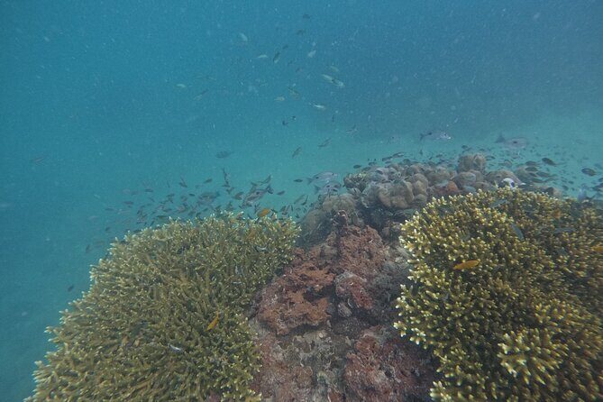Small Group Phi Phi Islands Sunrise Tour with Seaview Lunch - FAQ