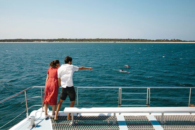 Small Group Port Stephens + Dolphins + 4WD/sandboarding ex Sydney - Key Points