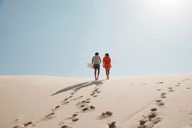 Small Group Port Stephens + Dolphins + 4WD/sandboarding ex Sydney - The Day’s Itinerary and What to Expect